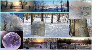 Read more about the article Fotowettbewerb “Winter in Borsdorf”: Galerie aller eingesandten Fotos und Gewinner